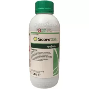 Fungicida Score 250ml