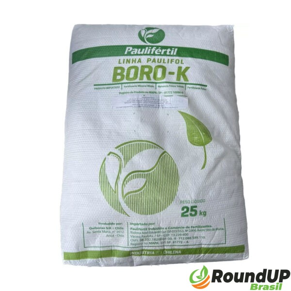 Acido borico - 25 kg