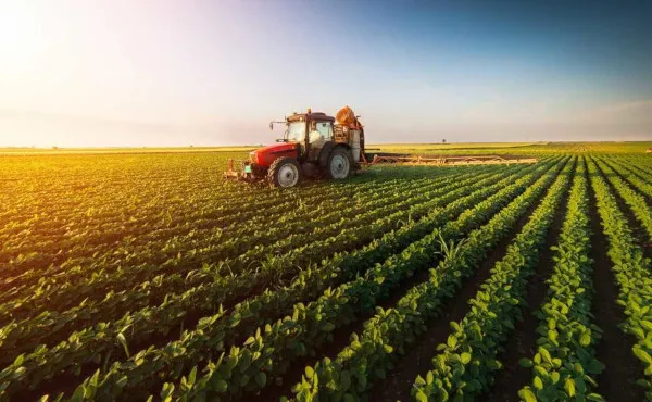 Atividades agrícolas