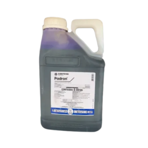 Padron 5 Litros