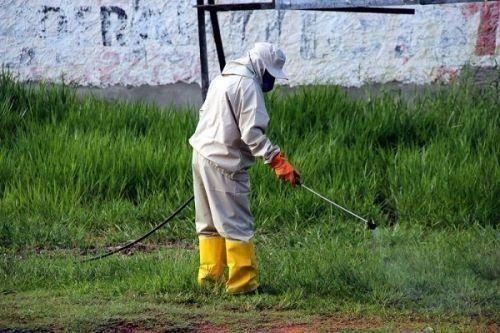 Veneno para Matar Mato pela Raiz